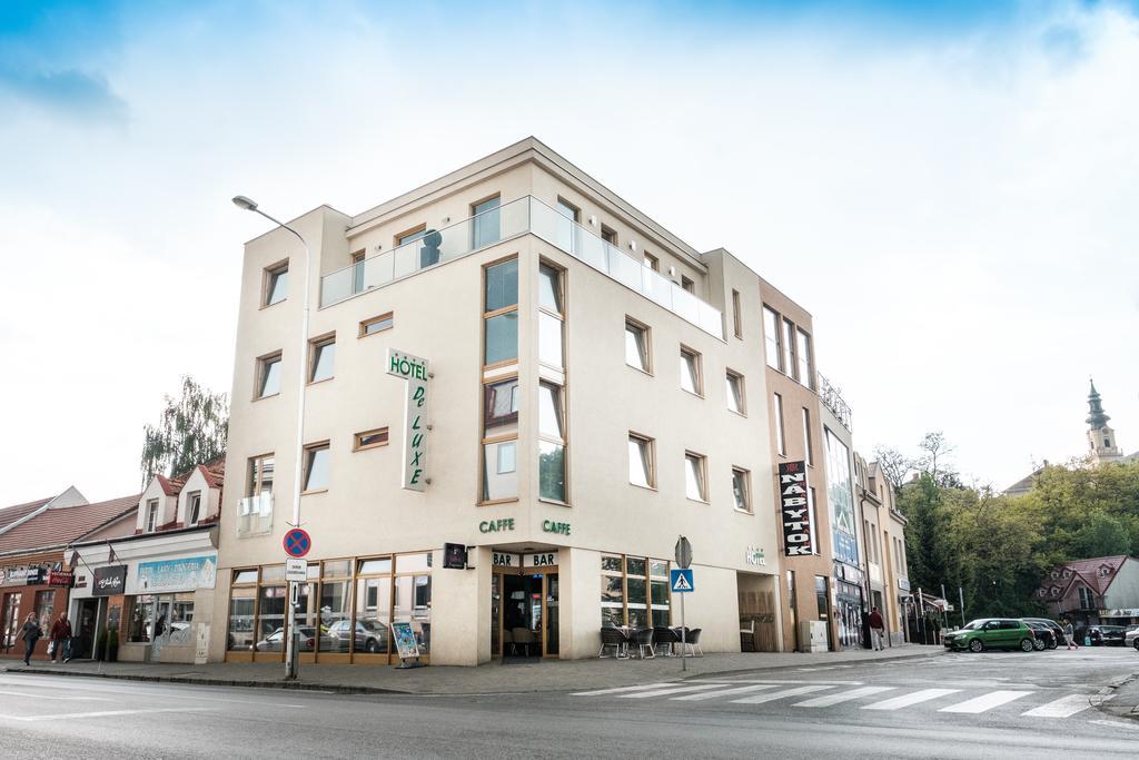 ניטרה Hotel Deluxe With Free Wellness And Fitness Centrum מראה חיצוני תמונה
